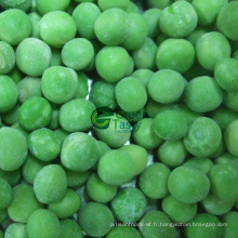 Nouveaux cèpes IQF Frozen Green Peas